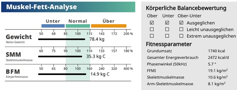 Basal Metabolic Rate Skeletal Muscle Mass