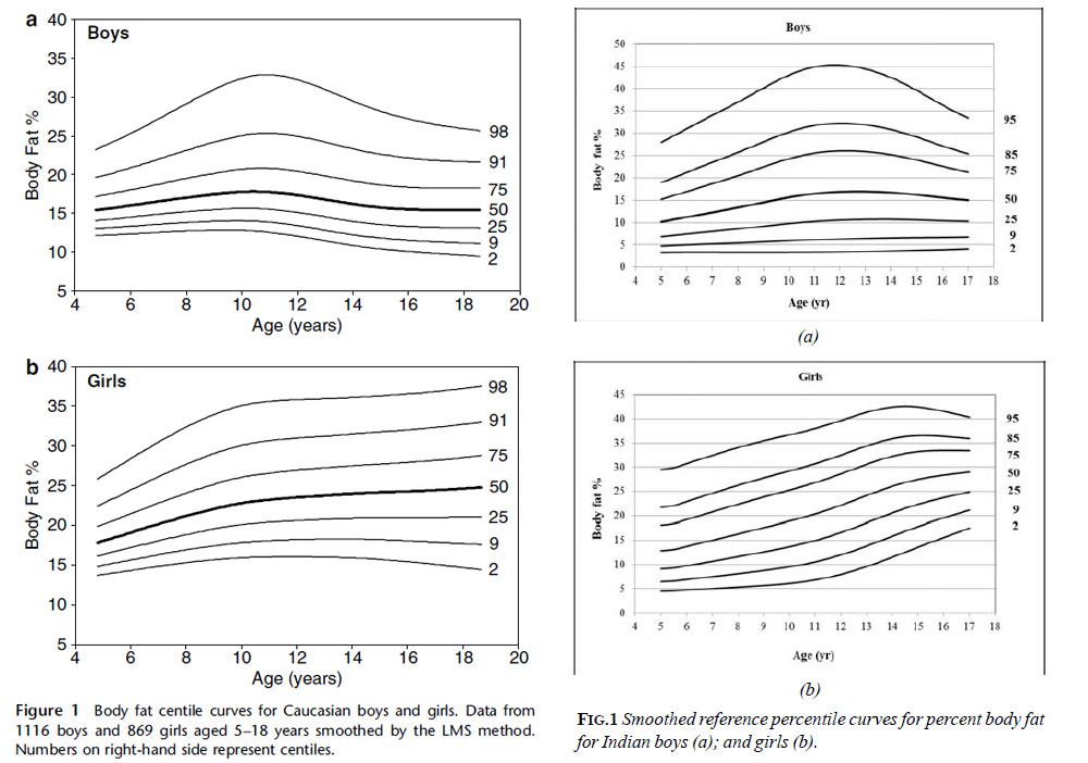 Percentile scale for body fat percentage in relation to age