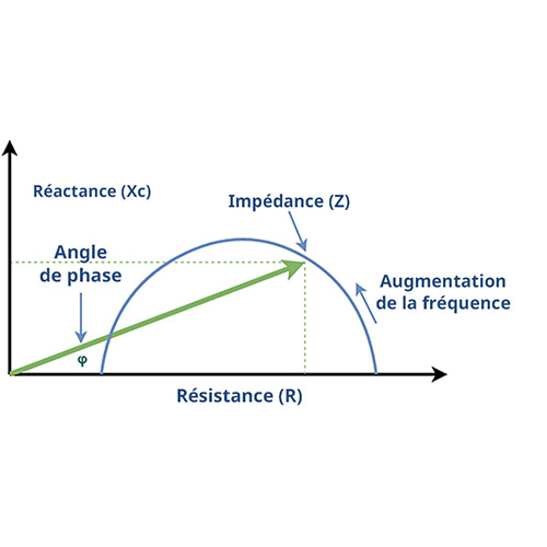 Qu'est-ce que l'angle de phase et comment l'utiliser ?