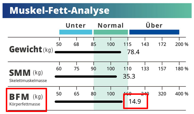 Body Composition Fat Mass Analysis