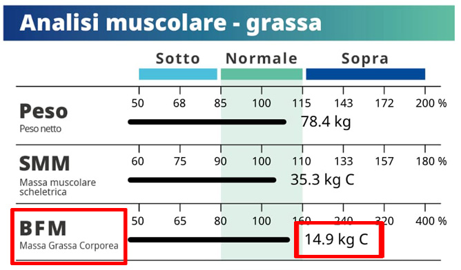 Body Composition Fat Mass Analysis