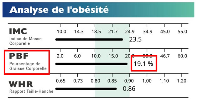 Medical Body Composition Result Sheet Obesity