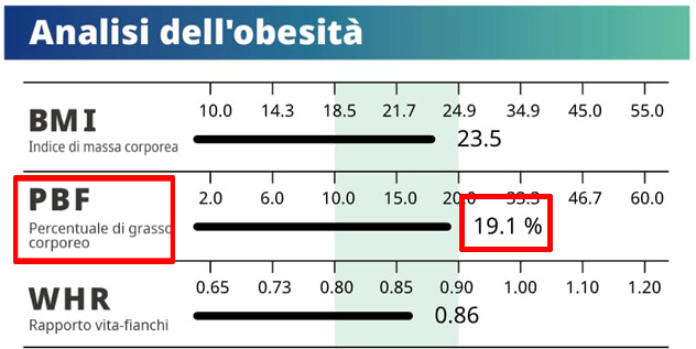 Medical Body Composition Result Sheet Obesity