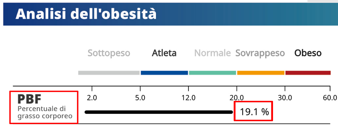 Standard Body Composition Result Sheet Obesity