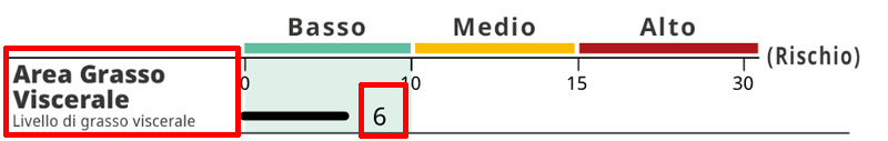 Abdominal Visceral Fat Level