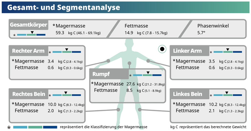 Segmental Muscle and Fat