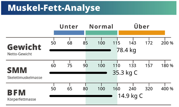 Muscle-Fat Proportion