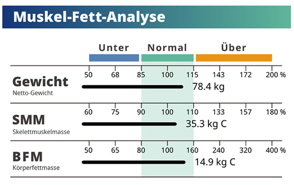 Muscle-Fat Analysis