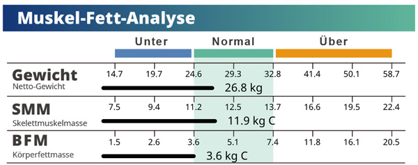 Muscle-Fat Analysis with Skeletal Muscle Mass and Body Fat Mass