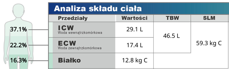 Woda w organizmie