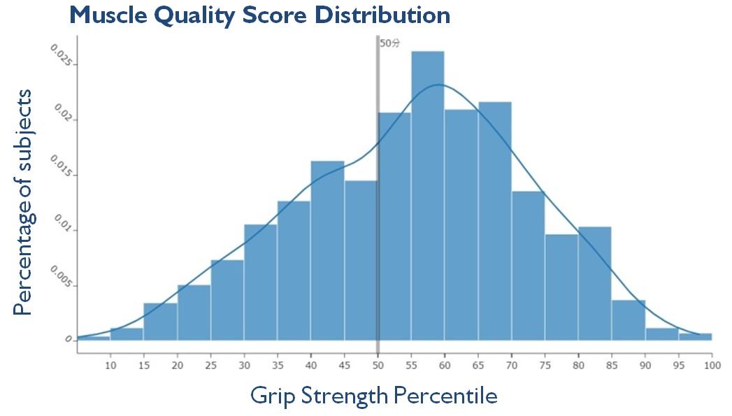 Muscle Quality Score Distribution