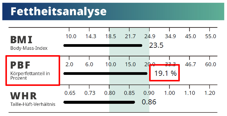 Obesit Analysis