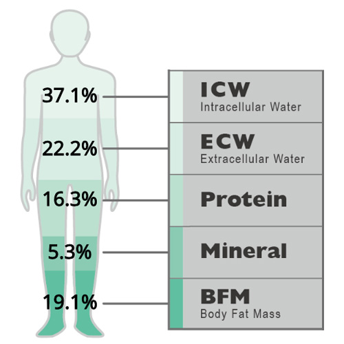 Guide to the 4-Compartment Body Composition Model