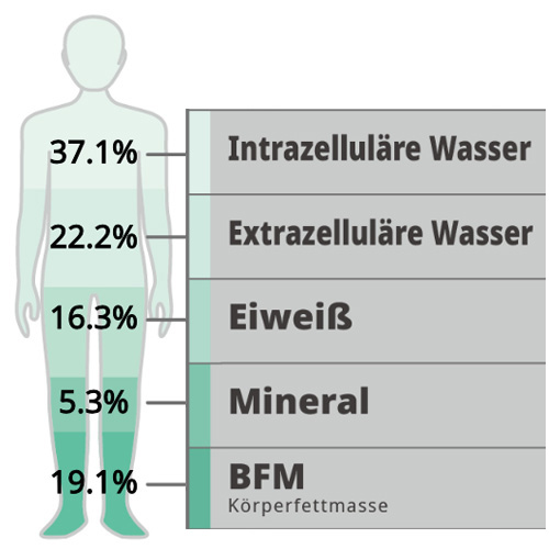 Leitfaden zum 4-Kompartiment-Körperzusammensetzungsmodell