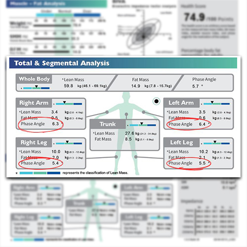 Segmental Phase Angle: A Deeper Dive into Body Composition Analysis